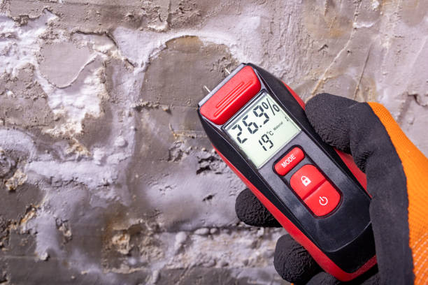 Best Mold Testing  in Weston, WV